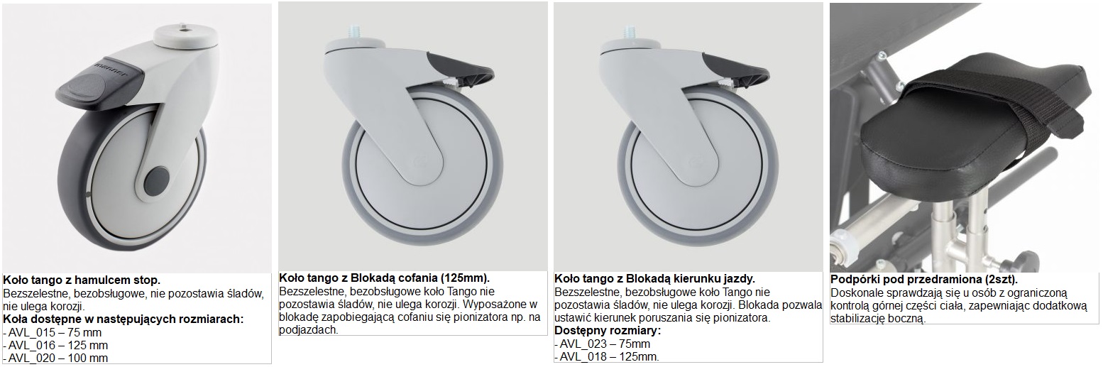pionizator dynamiczny